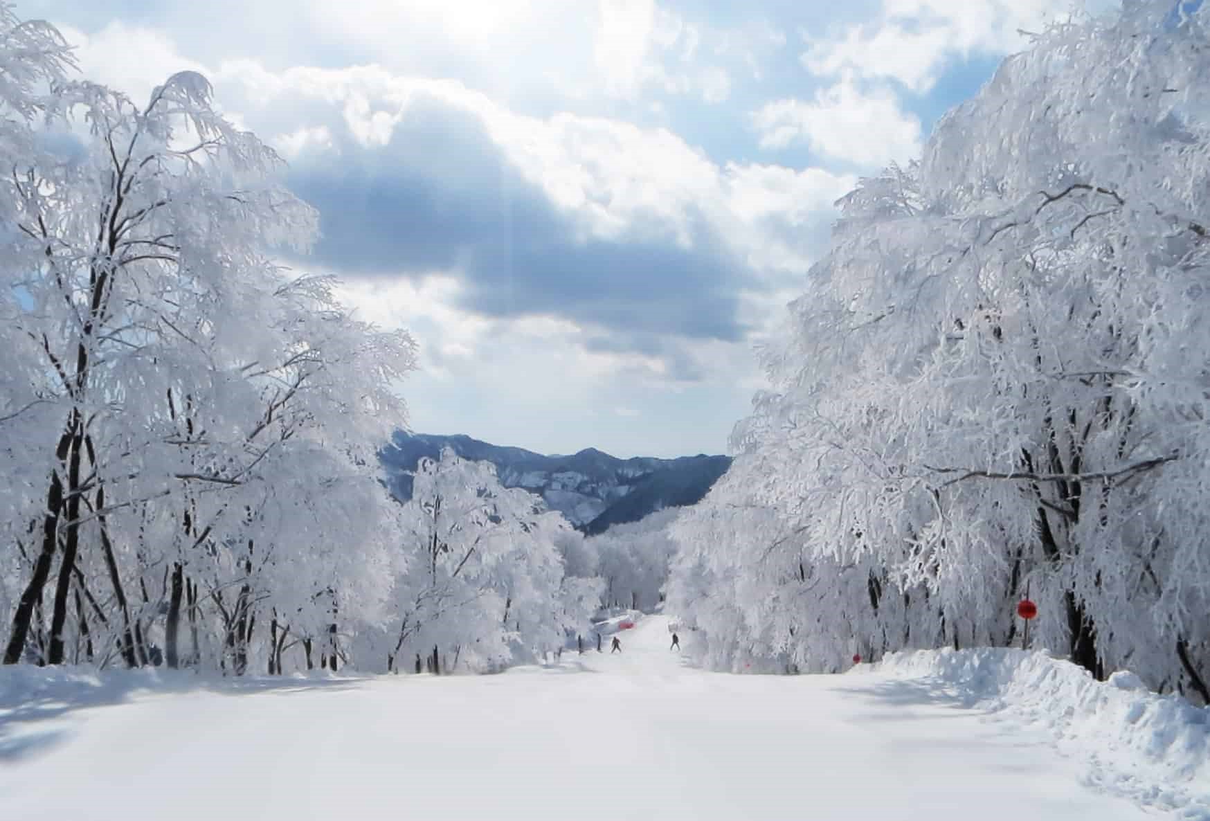 Hakuba