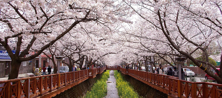 Best Places to Visit in South Korea