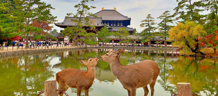 The 10 Most Romantic Honeymoon Destinations In Japan