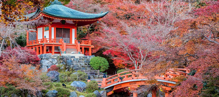 The 10 Most Romantic Honeymoon Destinations In Japan