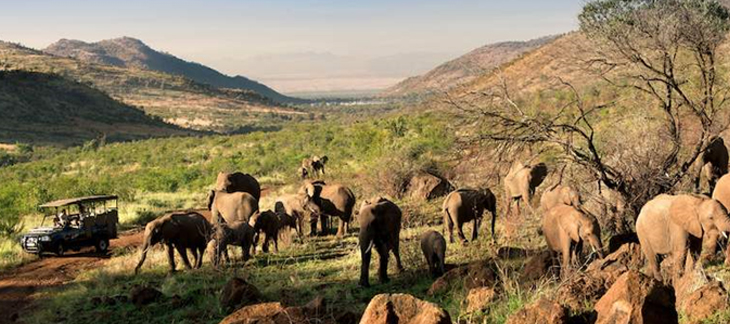 Best Tourist Attractions in South Africa